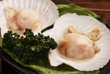 Grilled scallop