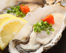 Oysters