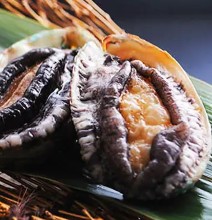 Abalone steak / grilled abalone