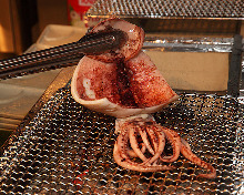 Lightly-dried squid