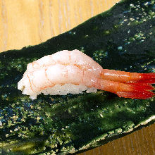 Ama ebi (pink shrimp)