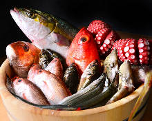 Salt roasted rosy seabass