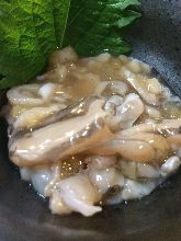 Wasabi octopus