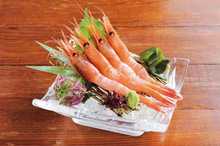 Ama ebi (pink shrimp) sashimi