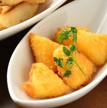 Fried camembert cheese