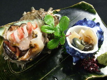 Horned turban sashimi