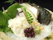 Geoduck sashimi