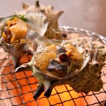 Grilled turban shell