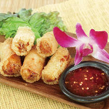 Deep-fried spring roll