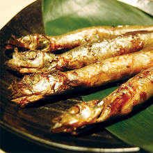 Seared shishamo smelt