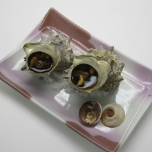 Grilled turban shell