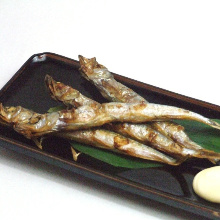 Grilled shishamo smelt