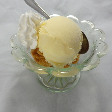 Vanilla ice cream
