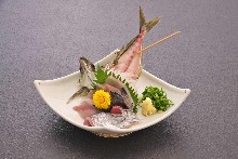 Live horse mackerel