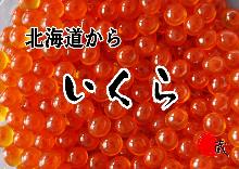 Ikura(salmon roe)