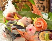 Assorted sashimi, 5 kinds