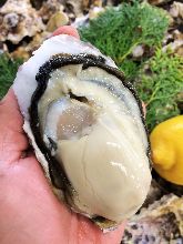 Raw oyster