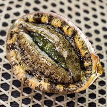 Grilled abalone