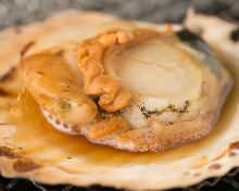 Grilled scallop