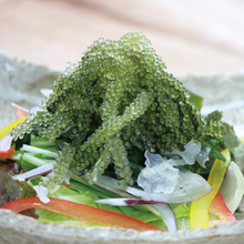 Seaweed salad