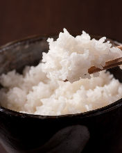 Rice