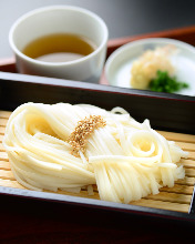 Chilled udon