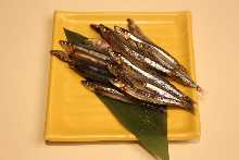 Kibinago minnow