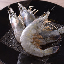 Salted and grilled shrimp