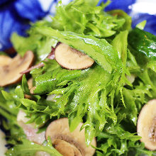 Mushroom salad