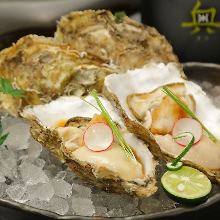 Oyster with shell