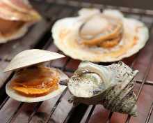 Grilled shellfish