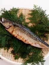 Salted and grilled mackerel