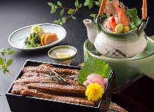 conger eel conger eel