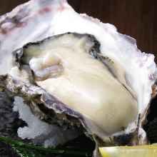 Raw oyster