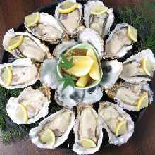 Assorted oysters