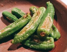 Shishito green pepper