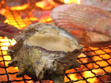 Grilled turban shell