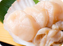 Scallop sashimi