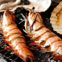 Grilled shrimp