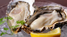 Oysters