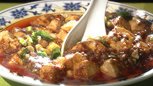 Spicy tofu and ground meat