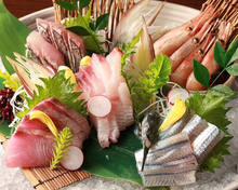 Assorted sashimi, 5 kinds