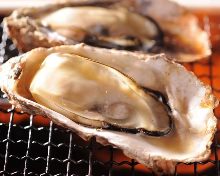 Grilled oysters