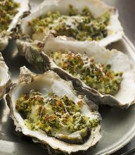 Other gratins / dorias