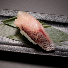 Black Gnomefish Yushimo Tsukuri Style