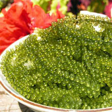 Sea grapes