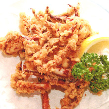Fried squid legs