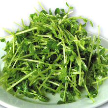 Stir-fried pea shoots