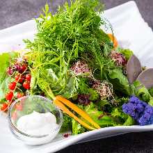 seasonal Organic vegetable salad