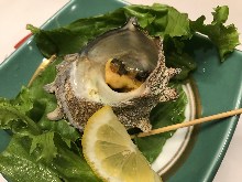 Grilled turban shell